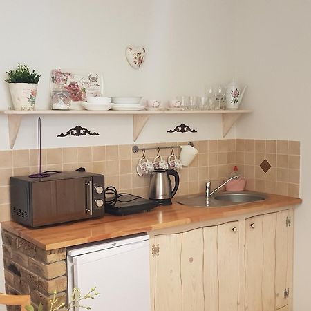Apartamenty Zielona Owieczka 涅兹卡城堡 外观 照片