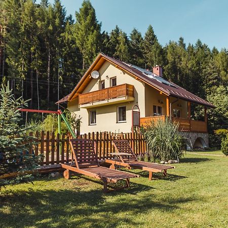 Apartamenty Zielona Owieczka 涅兹卡城堡 外观 照片