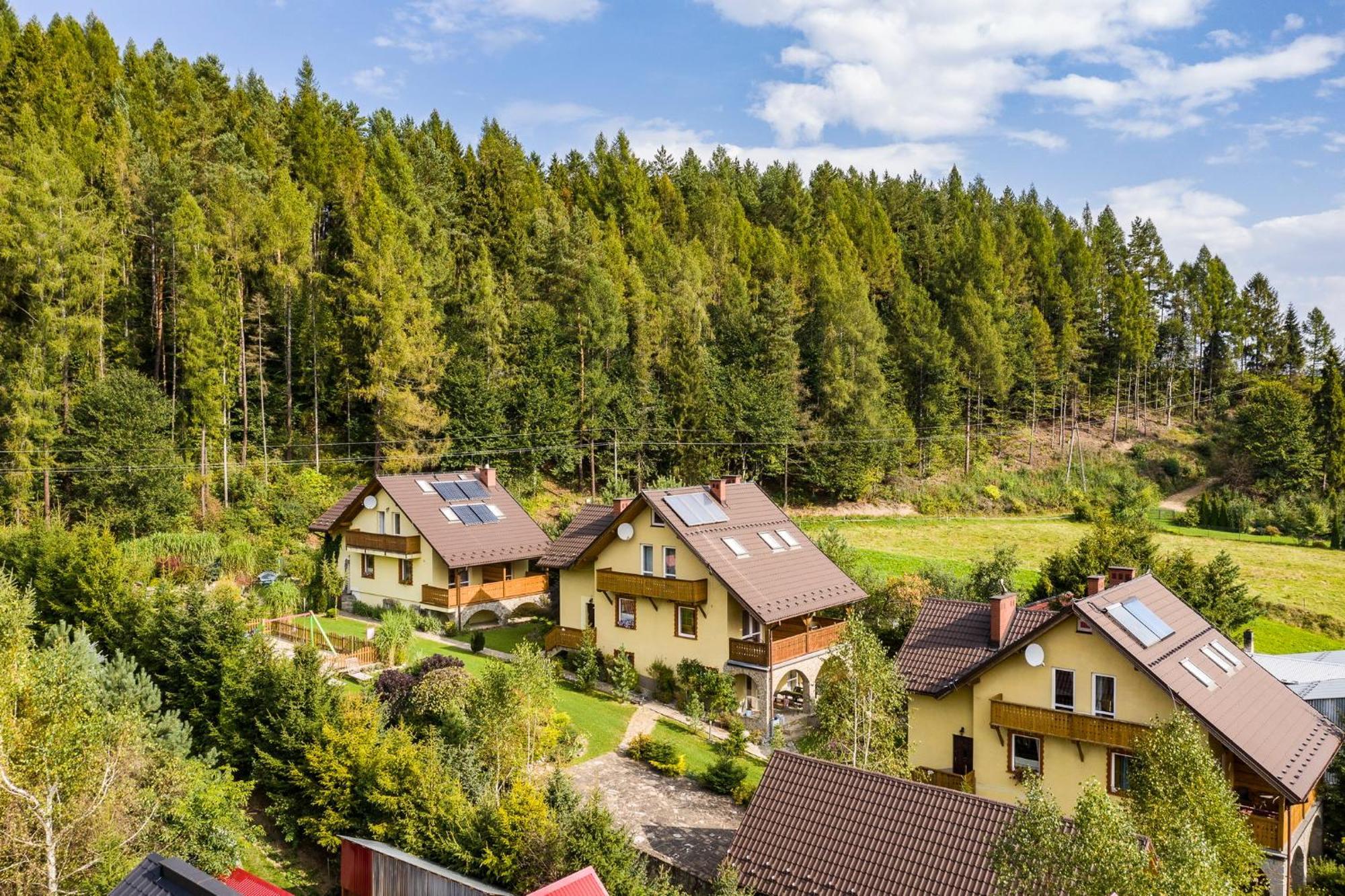 Apartamenty Zielona Owieczka 涅兹卡城堡 外观 照片