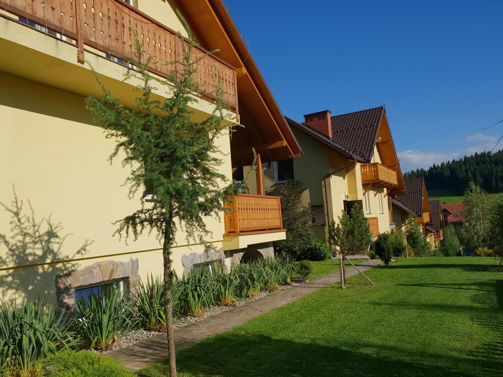 Apartamenty Zielona Owieczka 涅兹卡城堡 外观 照片